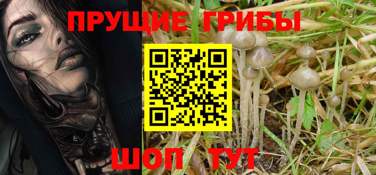 Галлюциногенные грибы Magic Shrooms Орёл